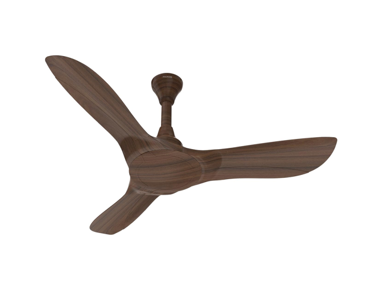 Silencio cruiser prime